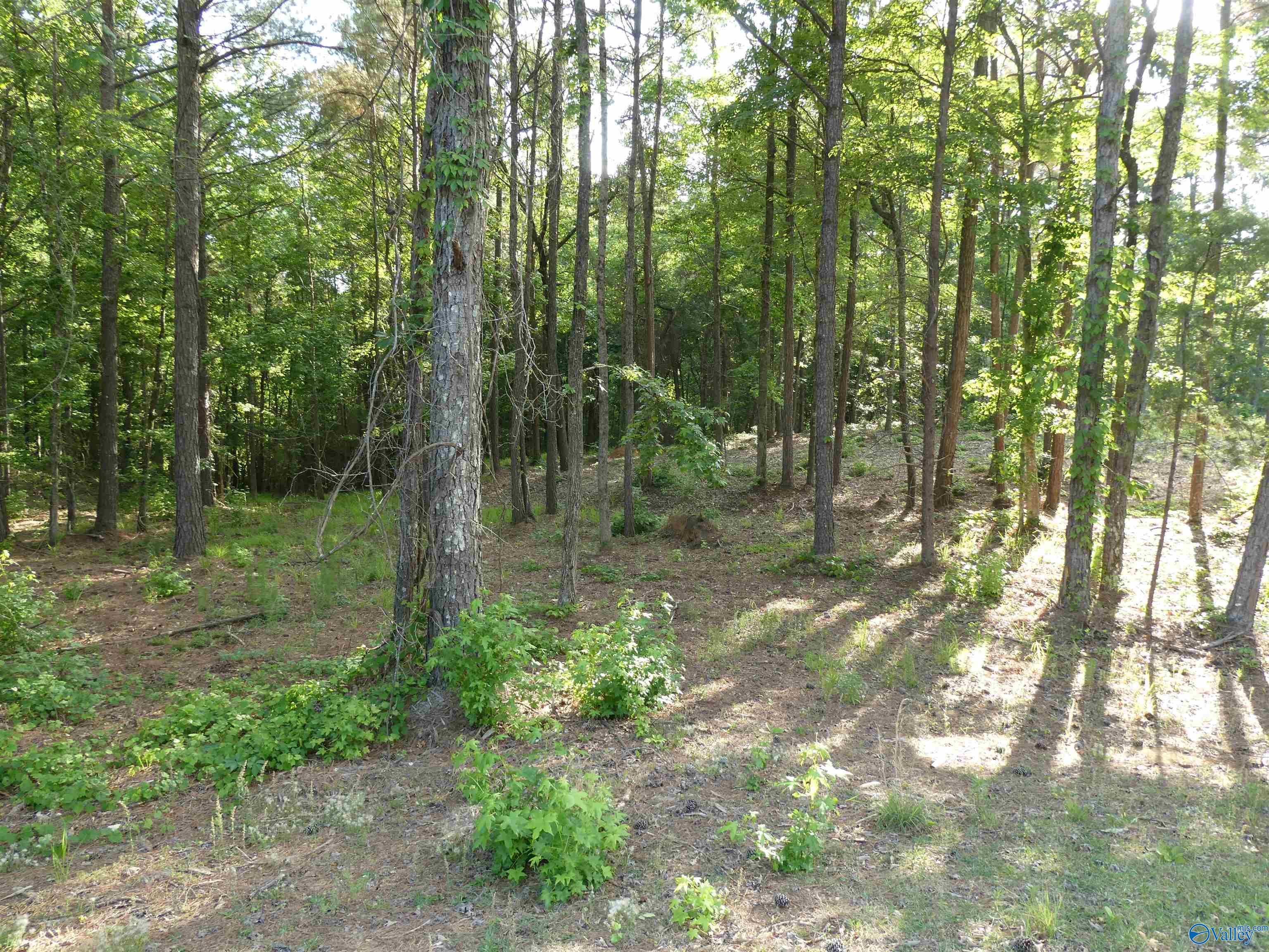 Lot 75 Harbor Lights Trail
