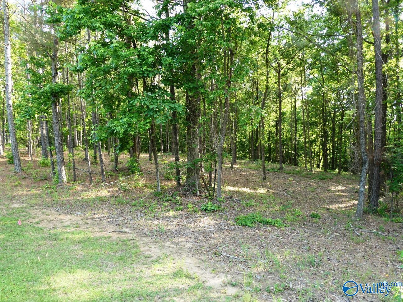 Lot 75 Harbor Lights Trail