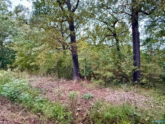 306 BRANDON ST, GADSDEN, AL 35901 - Image d18240a651f559f81aaae5aecb389a64/979894536