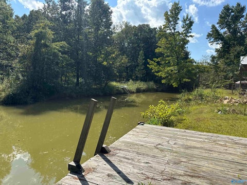 Vacant Land For Sale - 13/14 County Road 450<br/> Cherokee County, Centre, AL 35960