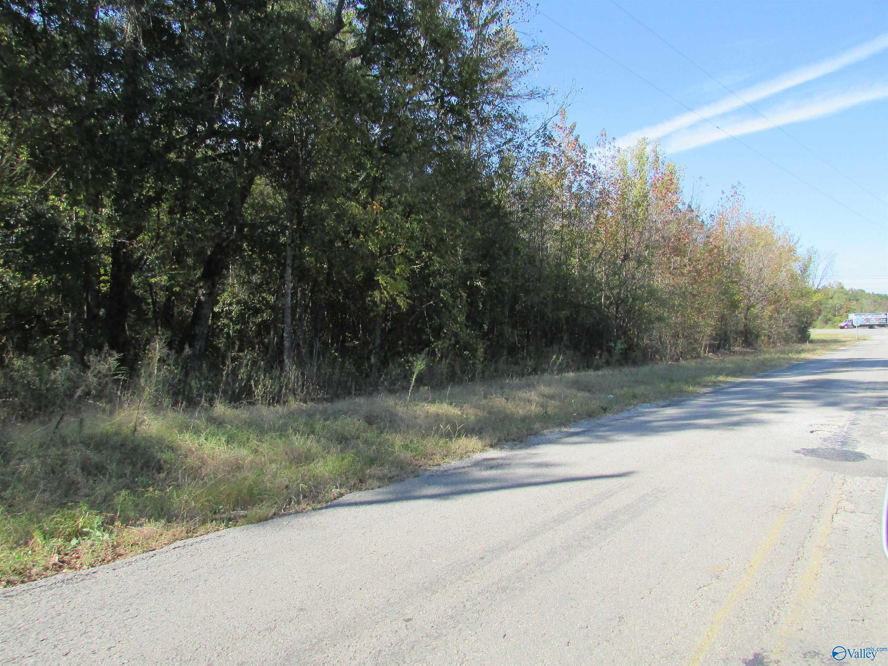2.30 Alabama Highway 24, Moulton, Alabama image 4