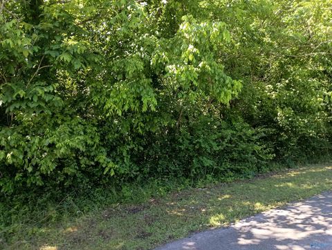 Vacant Land For Sale - 405 Hammond Avenue<br/> Etowah County, Attalla, AL 35954