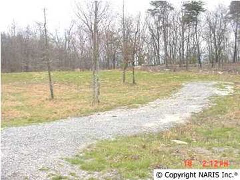 Vacant Land For Sale - 4200 Citadel Rock Road<br/> Dekalb County, Fort Payne, AL 35967