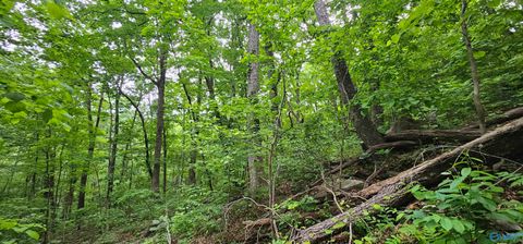 Vacant Land For Sale - 6+/- ACRES County Road 250<br/> Scottsboro, AL 35768
