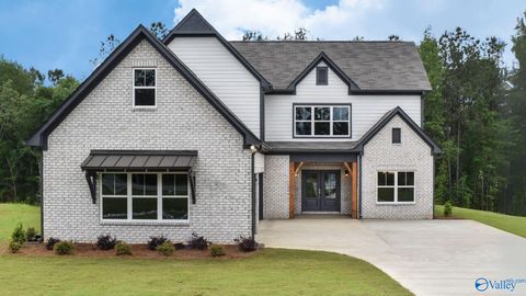 104 Mulligan Circle Meridianville AL 35759