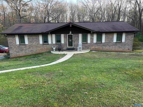 1945 Louise Avenue Southside AL 35907