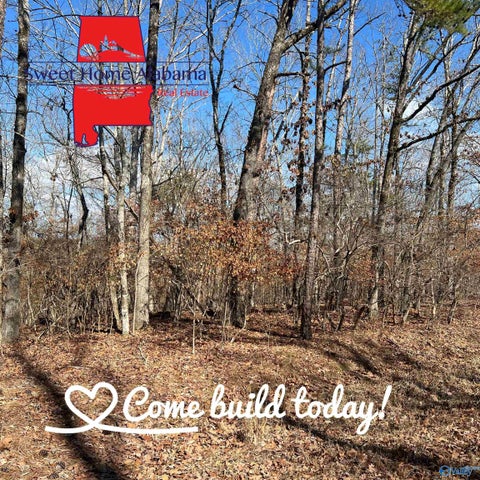 Vacant Land For Sale - LOT 17 County Road 620<br/> Cherokee County, Cedar Bluff, AL 35959