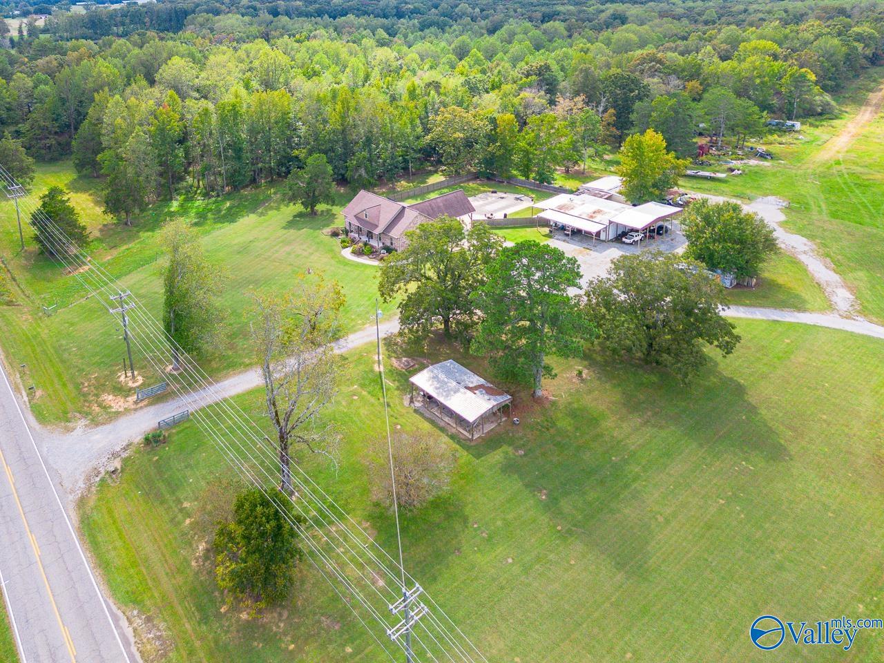 2809 Eva Road, Falkville, Alabama image 5