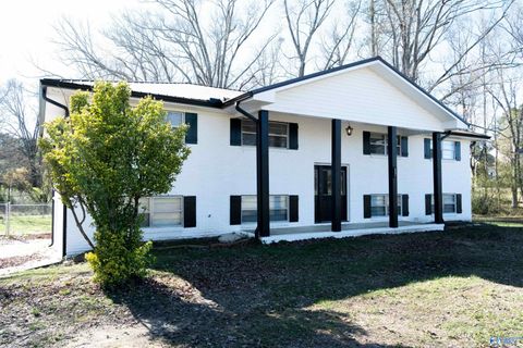 Homes For Sale - 4691 Leeth Gap Road<br/> Boaz, AL 35956