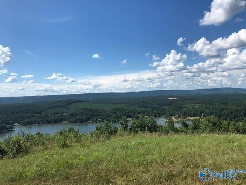 Vacant Land For Sale - LOT 221 County Road 1022 #221<br/> Cherokee County, Cedar Bluff, AL 35959