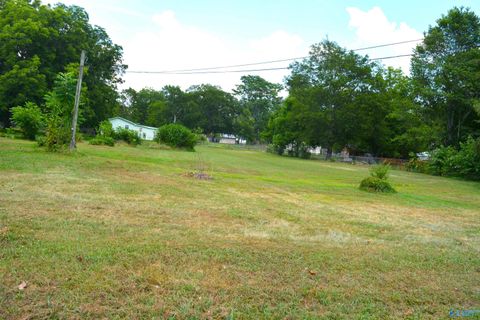 Vacant Land For Sale - 50 Al Petty Street<br/> Jackson County, Scottsboro, AL 35768