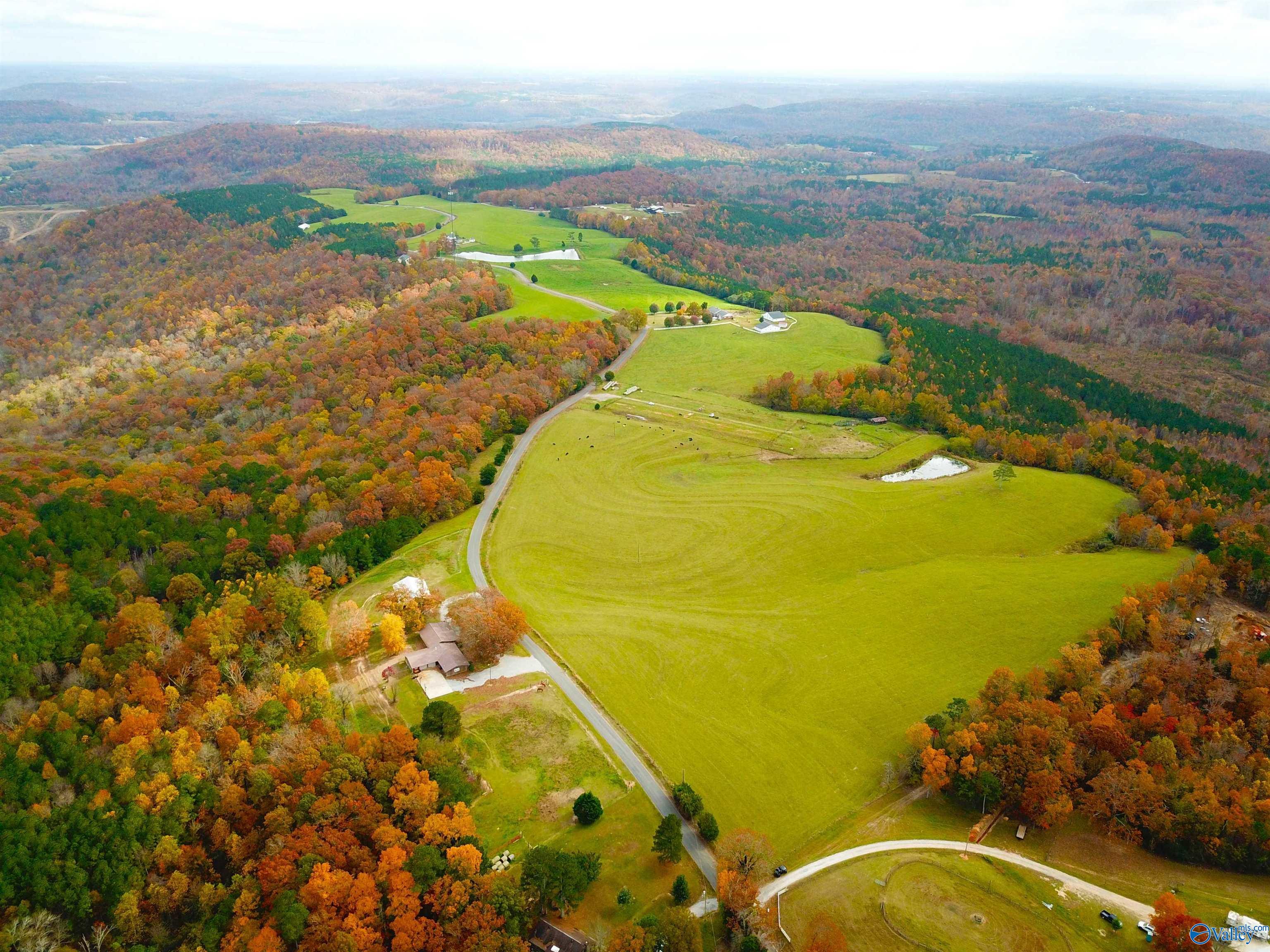 Acreage On Latham, Eva, Alabama image 4