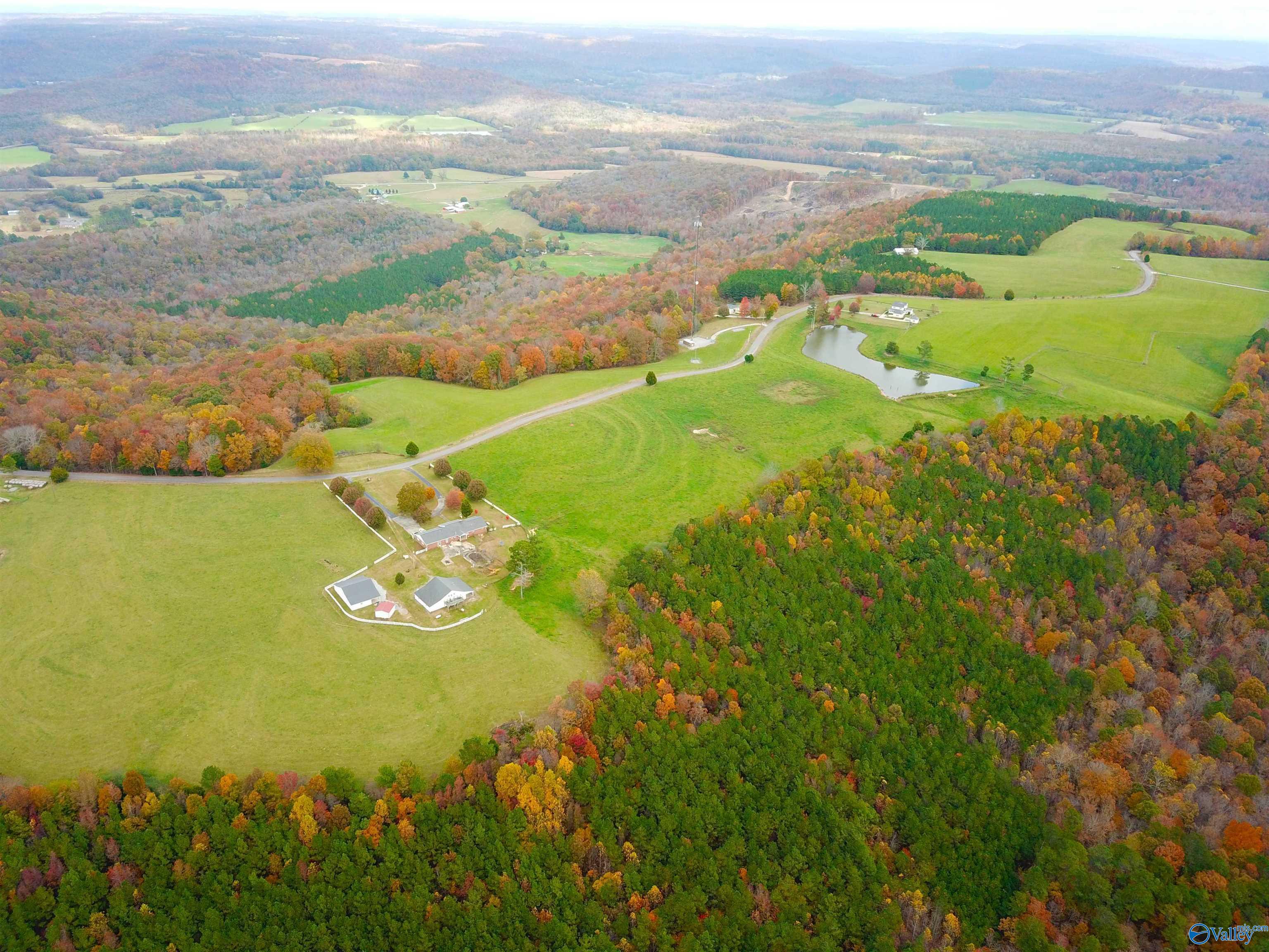 Acreage On Latham, Eva, Alabama image 3