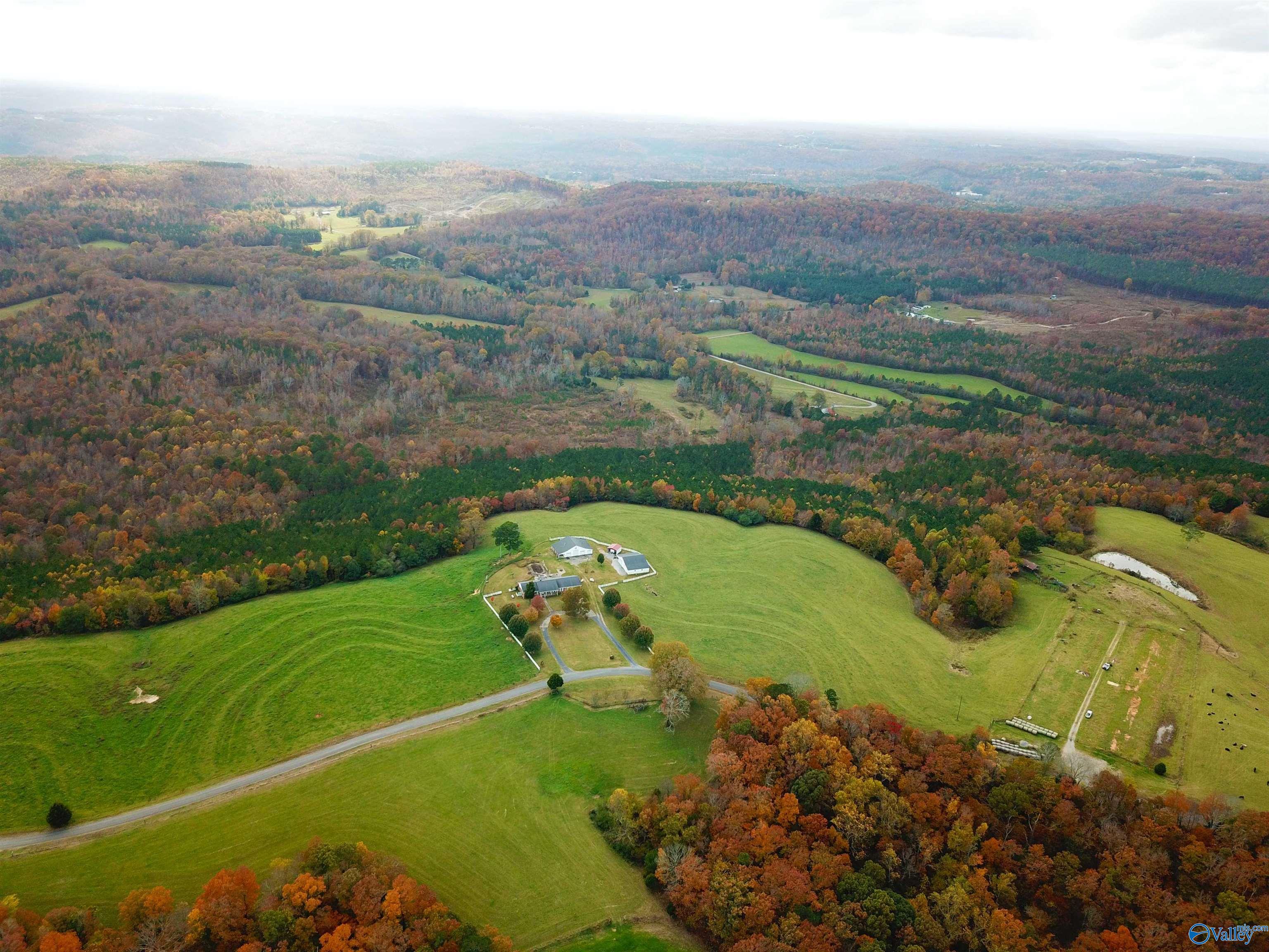 Acreage On Latham, Eva, Alabama image 5