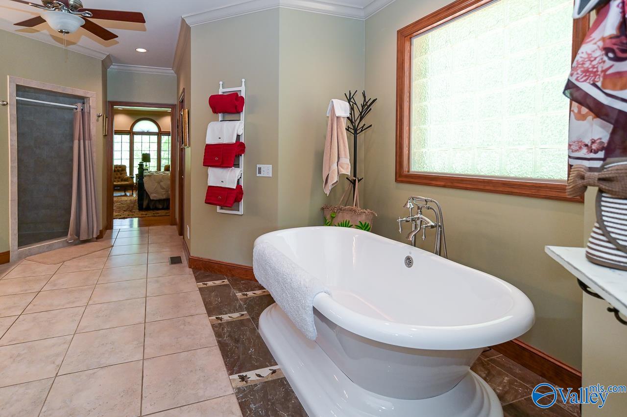 134 Trail Path Road, Double Springs, Alabama image 26