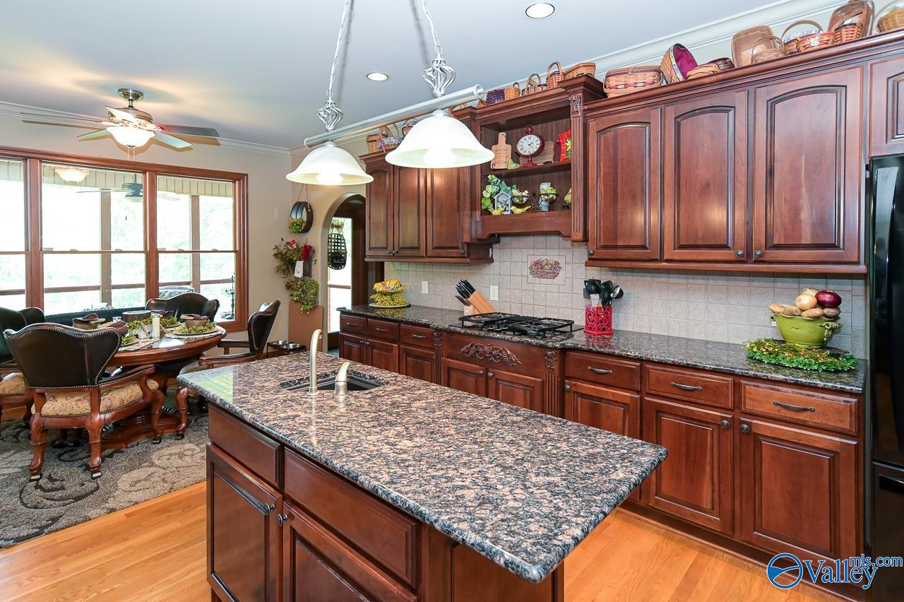 134 Trail Path Road, Double Springs, Alabama image 15