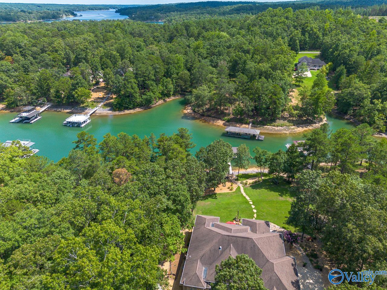 134 Trail Path Road, Double Springs, Alabama image 9