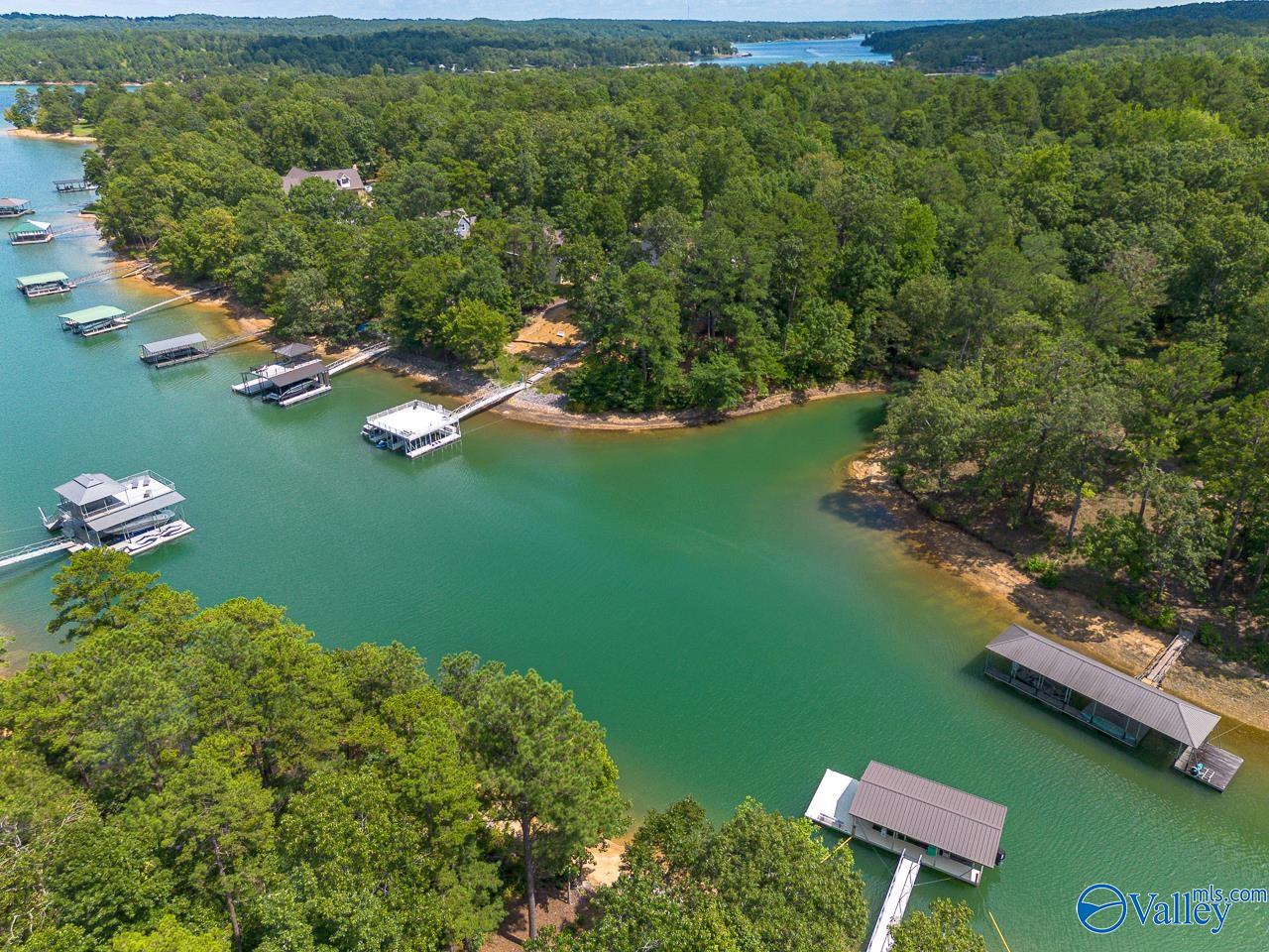 134 Trail Path Road, Double Springs, Alabama image 8