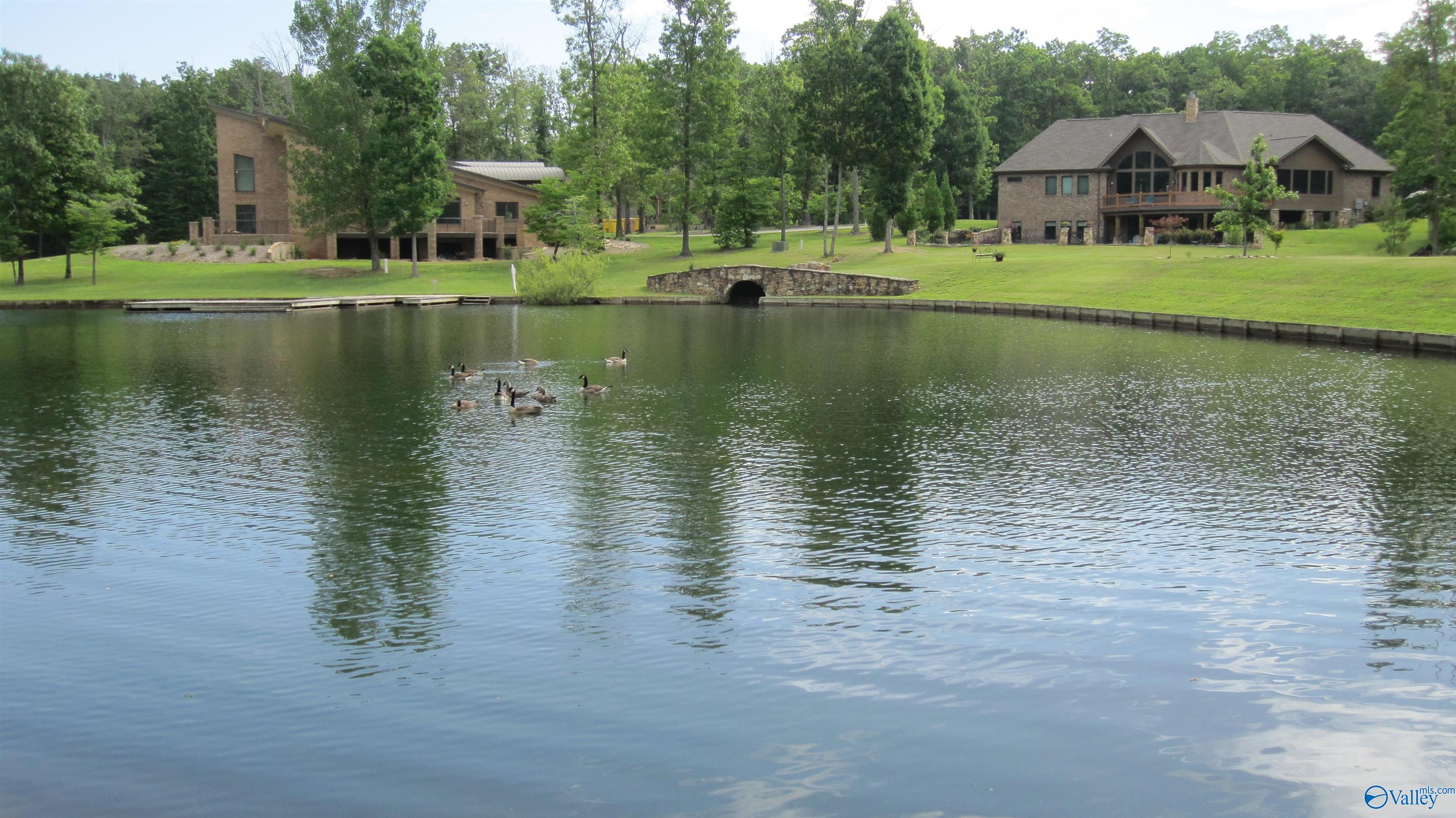 1 Spring Haven Circle, Huntsville, Alabama image 4