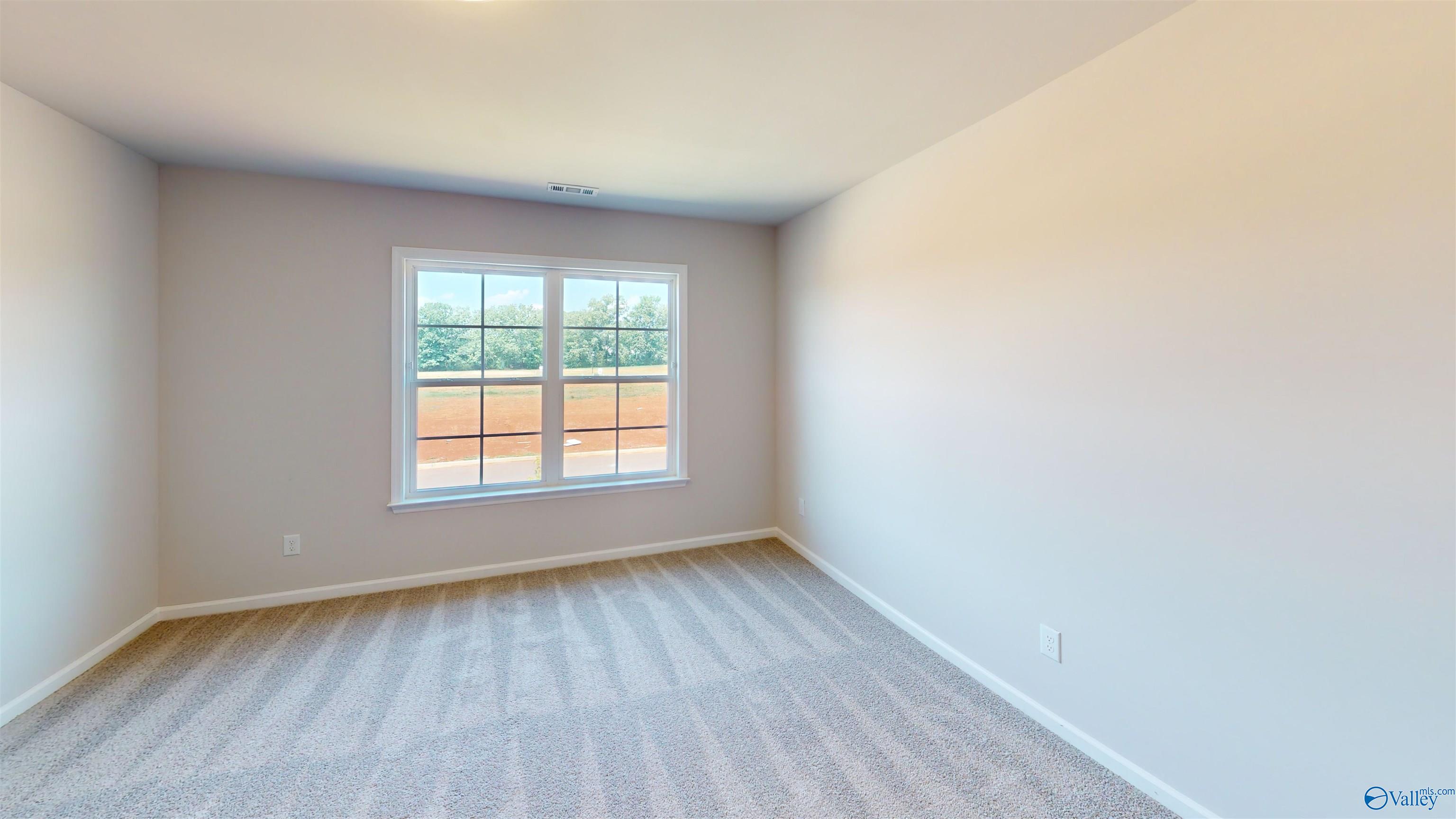 209 Roman Randall Road, New Market, Alabama image 8