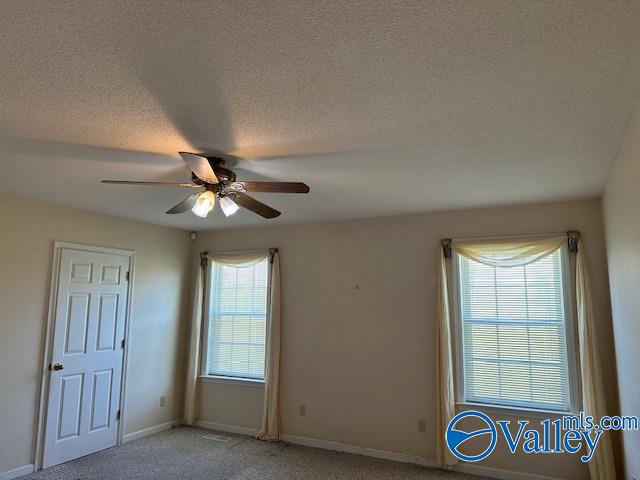 872 Southerland Drive, Horton, Alabama image 15