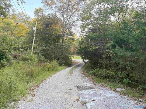 Vacant Land For Sale - 18791 Alabama Highway 35<br/> Jackson County, Scottsboro, AL 35768