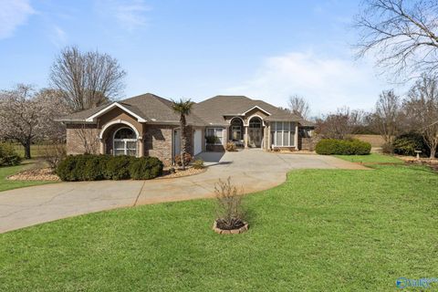 Photo of 12820 Saint Andrews Drive, Athens, AL 35611 (MLS # 21912904)