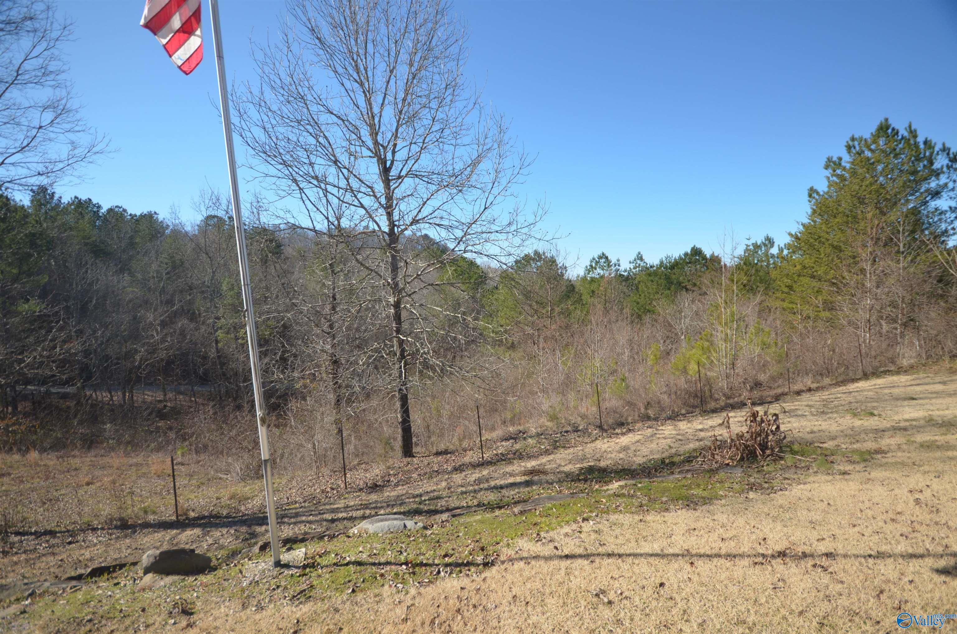 735 County Road 30, Bremen, Alabama image 42