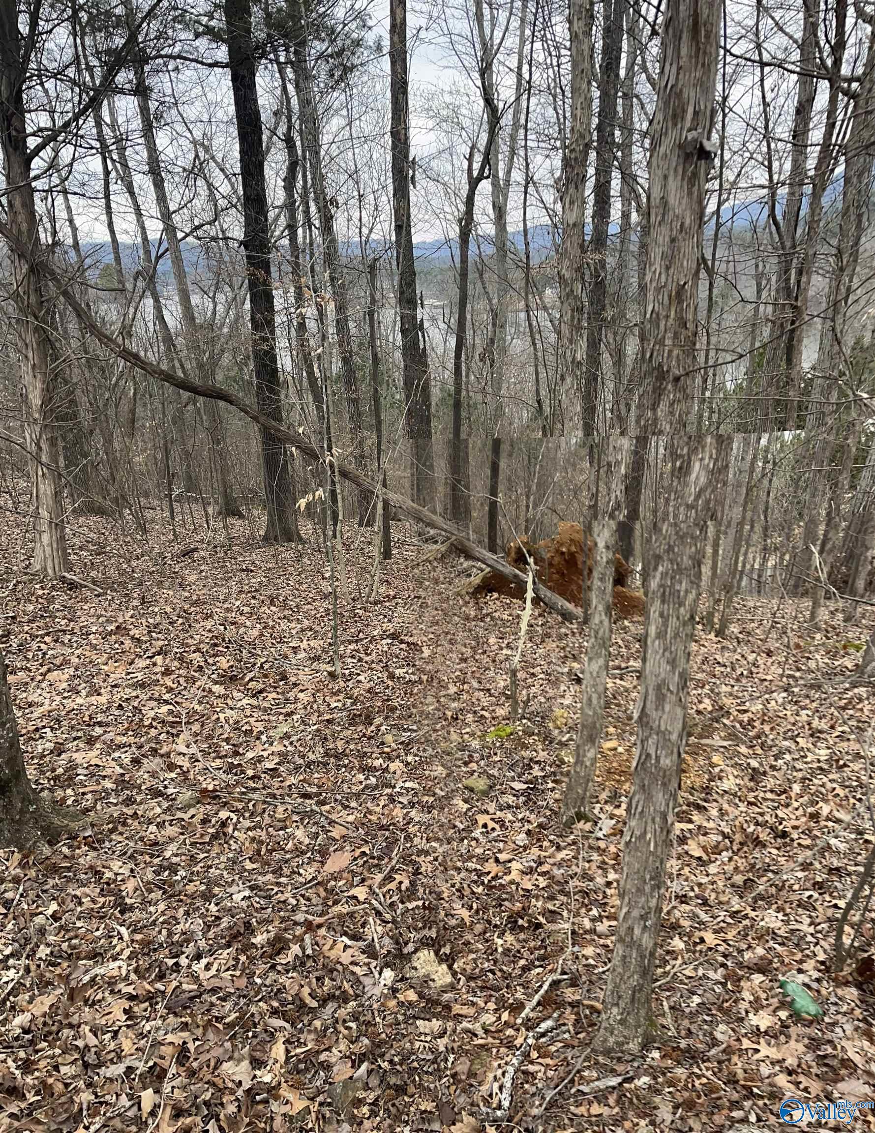 384 Monte Sano Drive, Scottsboro, Alabama image 4