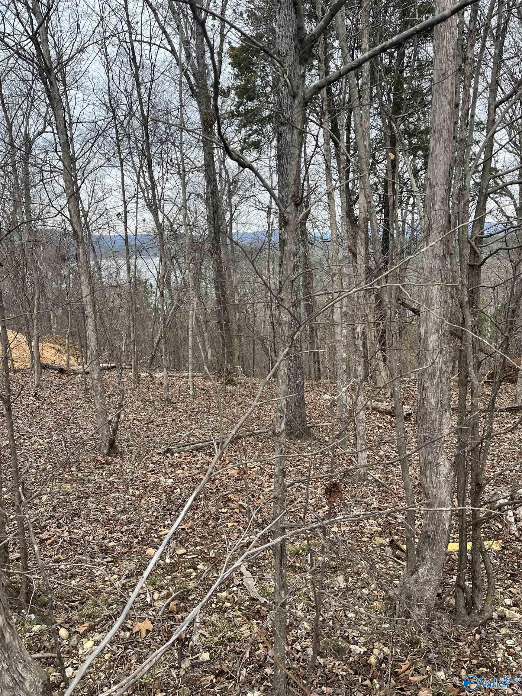 384 Monte Sano Drive, Scottsboro, Alabama image 3