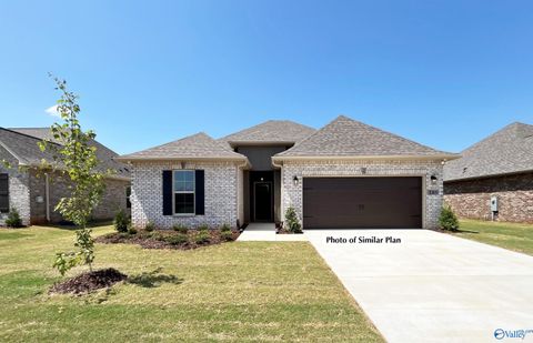 Photo of 244 John Harold Drive, Meridianville, AL 35759 (MLS # 21917219)