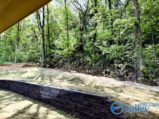 375 Saint Louis Street, Madison, Alabama image 5