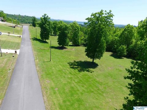 Vacant Land For Sale - 45 Tara Drive<br/> Guntersville, AL 35976