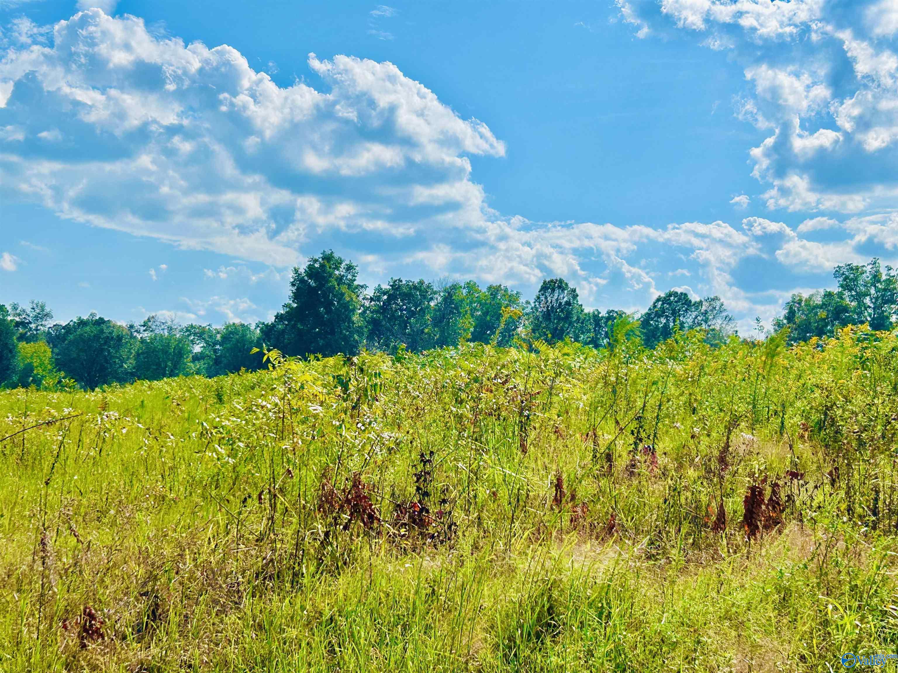 22 Acres Old Vaughn Bridge Road, Hartselle, Alabama image 3