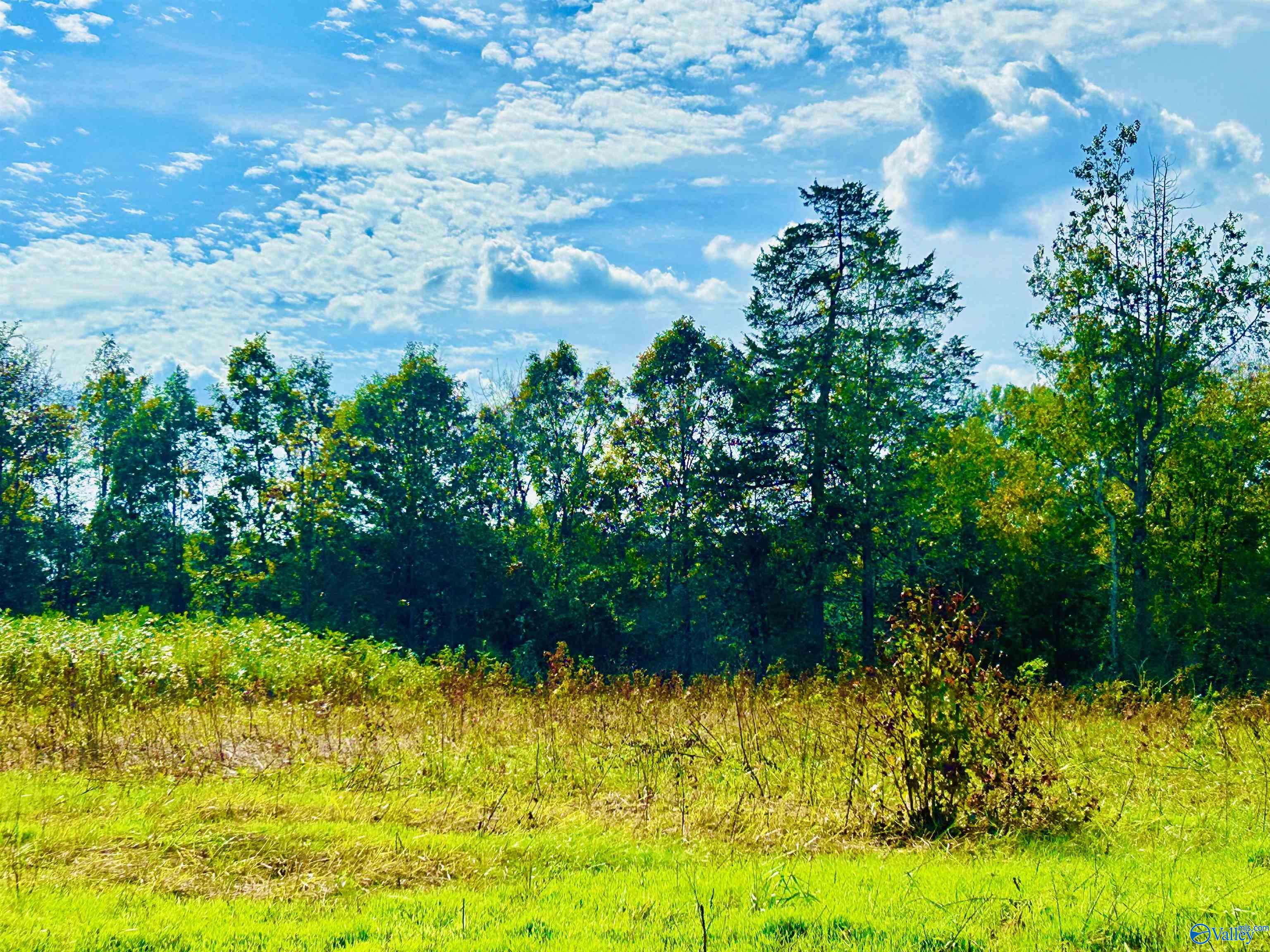 22 Acres Old Vaughn Bridge Road, Hartselle, Alabama image 1