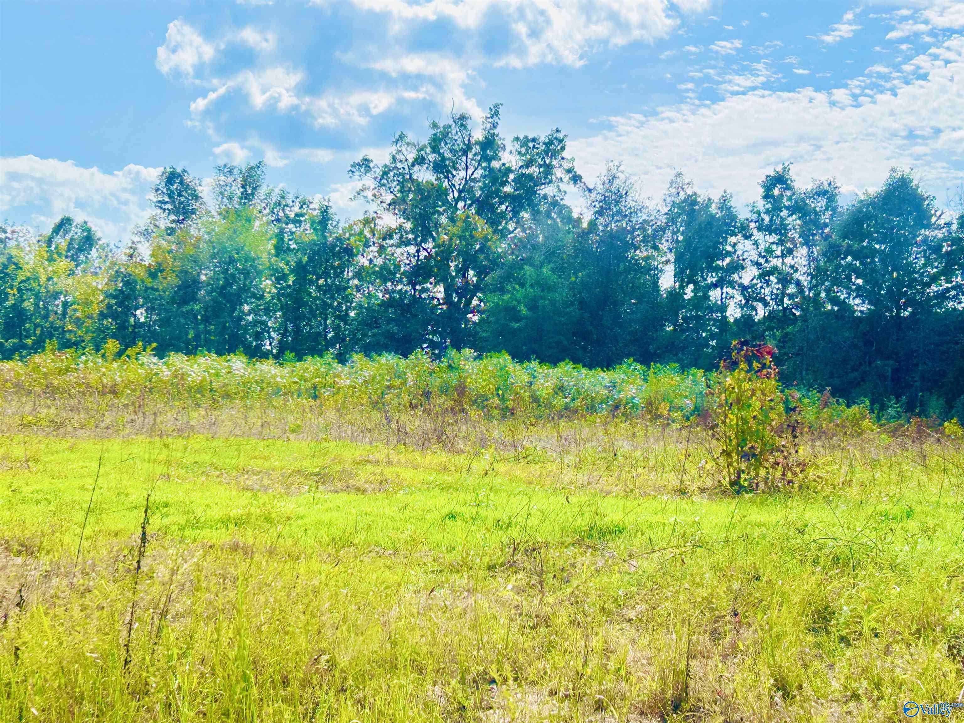 22 Acres Old Vaughn Bridge Road, Hartselle, Alabama image 7