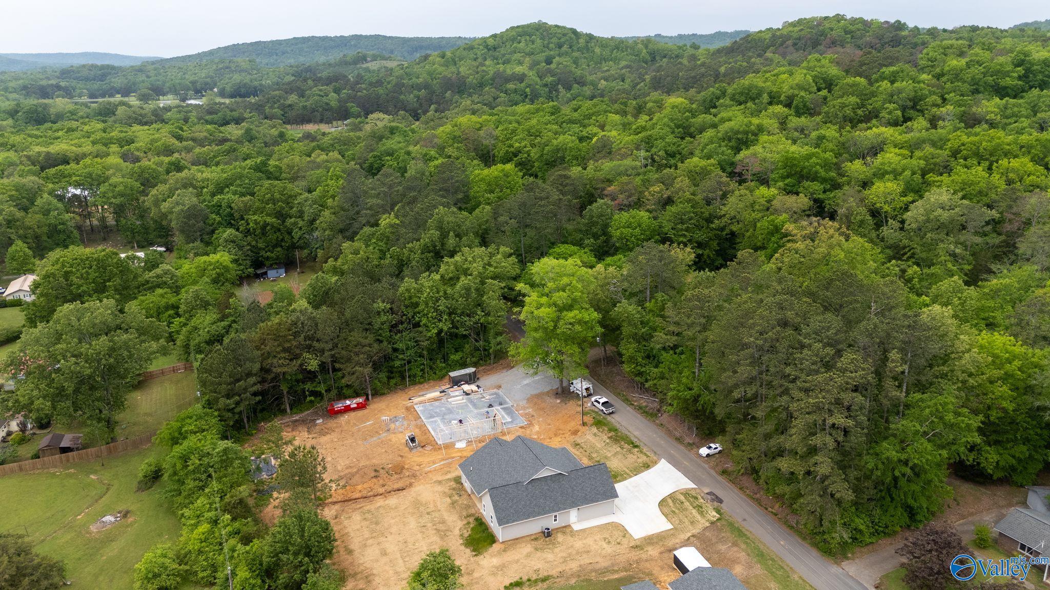 384 Nixon Drive, Guntersville, Alabama image 46