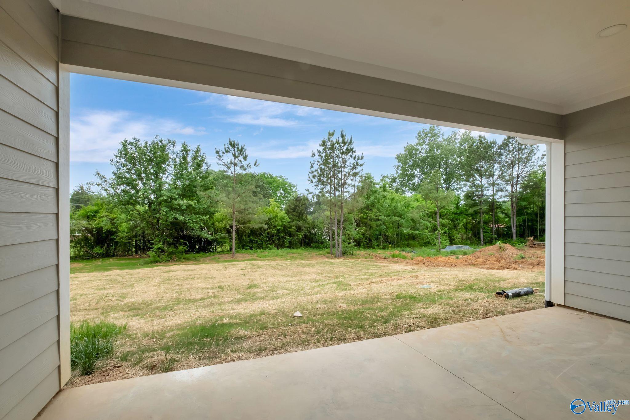 384 Nixon Drive, Guntersville, Alabama image 19