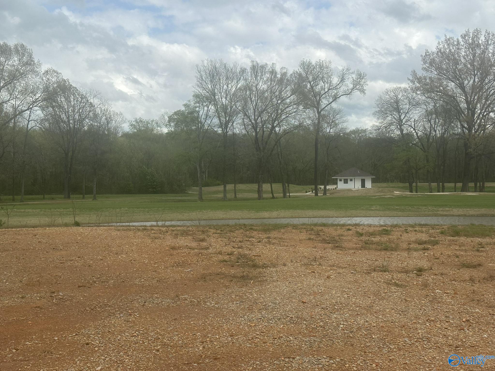 23259 Sawgrass Drive, Athens, Alabama image 3