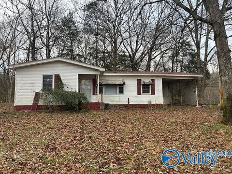 Photo of 765 Longhollow Road, Scottsboro, AL 35768 (MLS # 21905456)