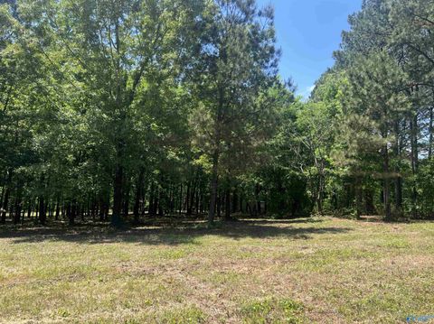 Vacant Land For Sale - LOT 1 County Road 1009<br/> Cedar Bluff, AL 35959