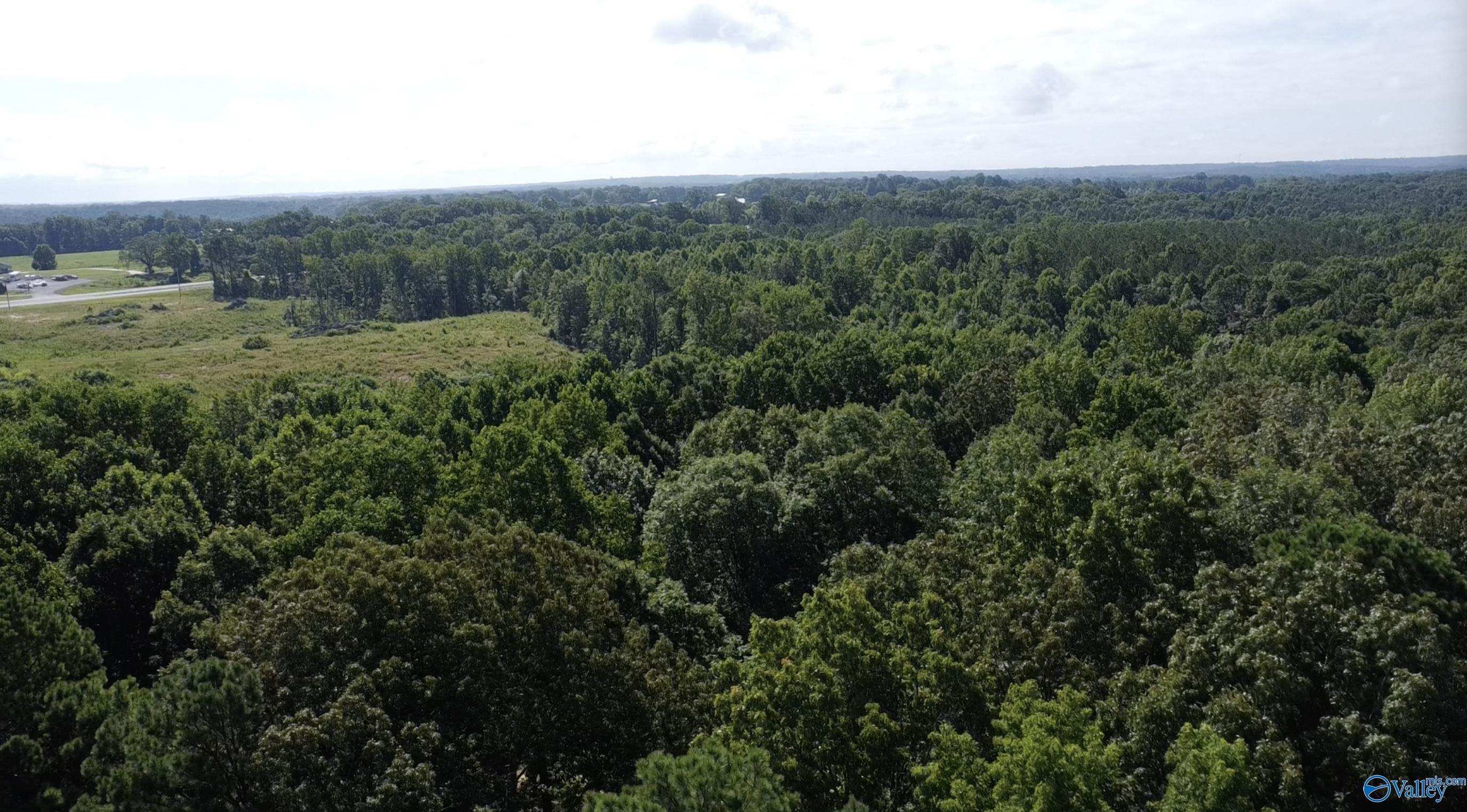 14959 Alabama Highway 157