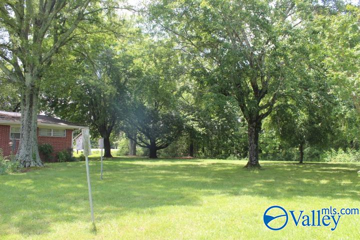 1280 Main Street West St, Rainsville, Alabama image 14