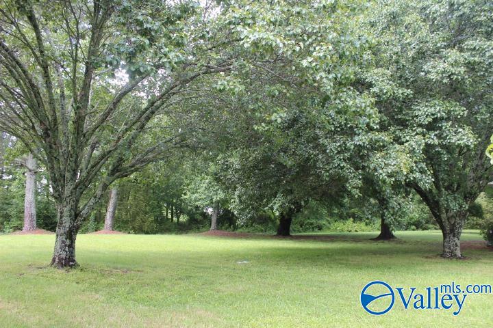 1280 Main Street West St, Rainsville, Alabama image 9