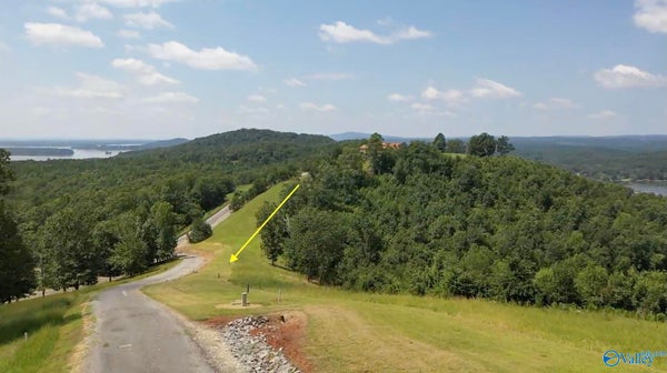 LOT 212 COUNTY ROAD 1022 # 212, CEDAR BLUFF, AL 35959 - Image d3bad9040d8fcc42cfd77b07cc4a5948/3299194542