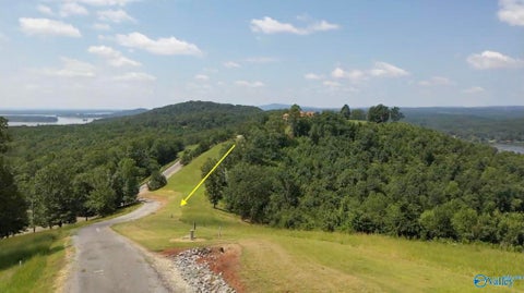 Vacant Land For Sale - LOT 212 County Road 1022 #212<br/> Cedar Bluff, AL 35959