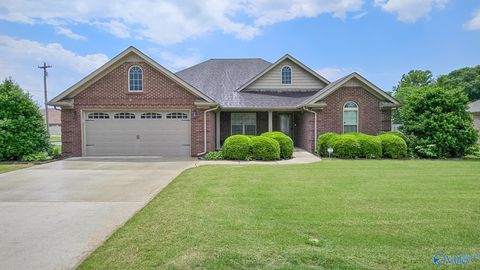 Photo of 28212 Ferguson Lane, Toney, AL 35773 (MLS # 21919121)