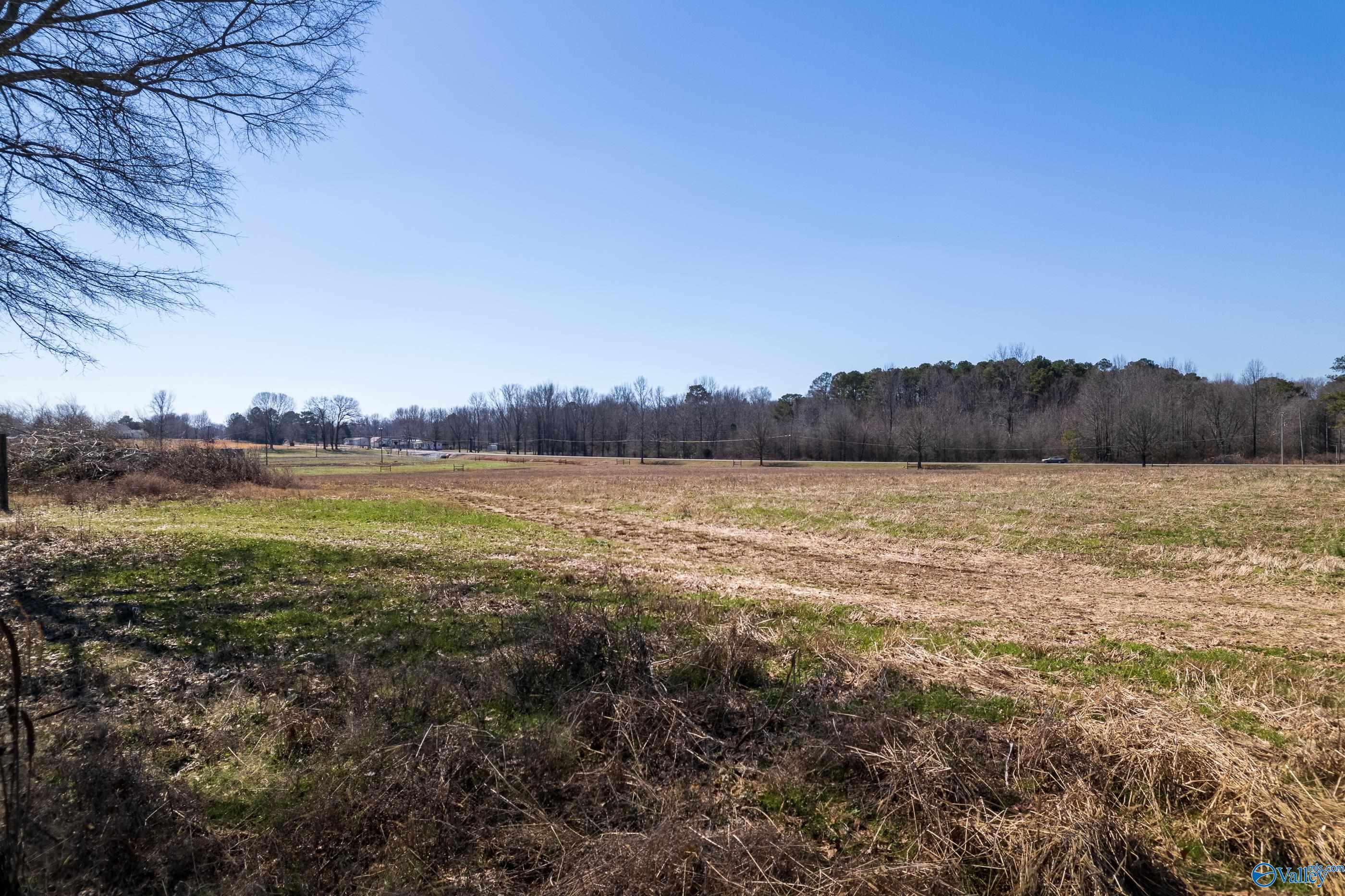 Building Lots Old Railroad Bed Road, Toney, Alabama image 9