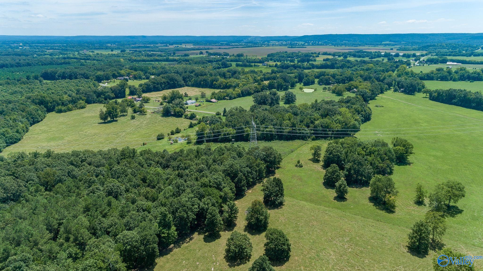 98.20 Acres County Road 23, Mount Hope, Alabama image 9