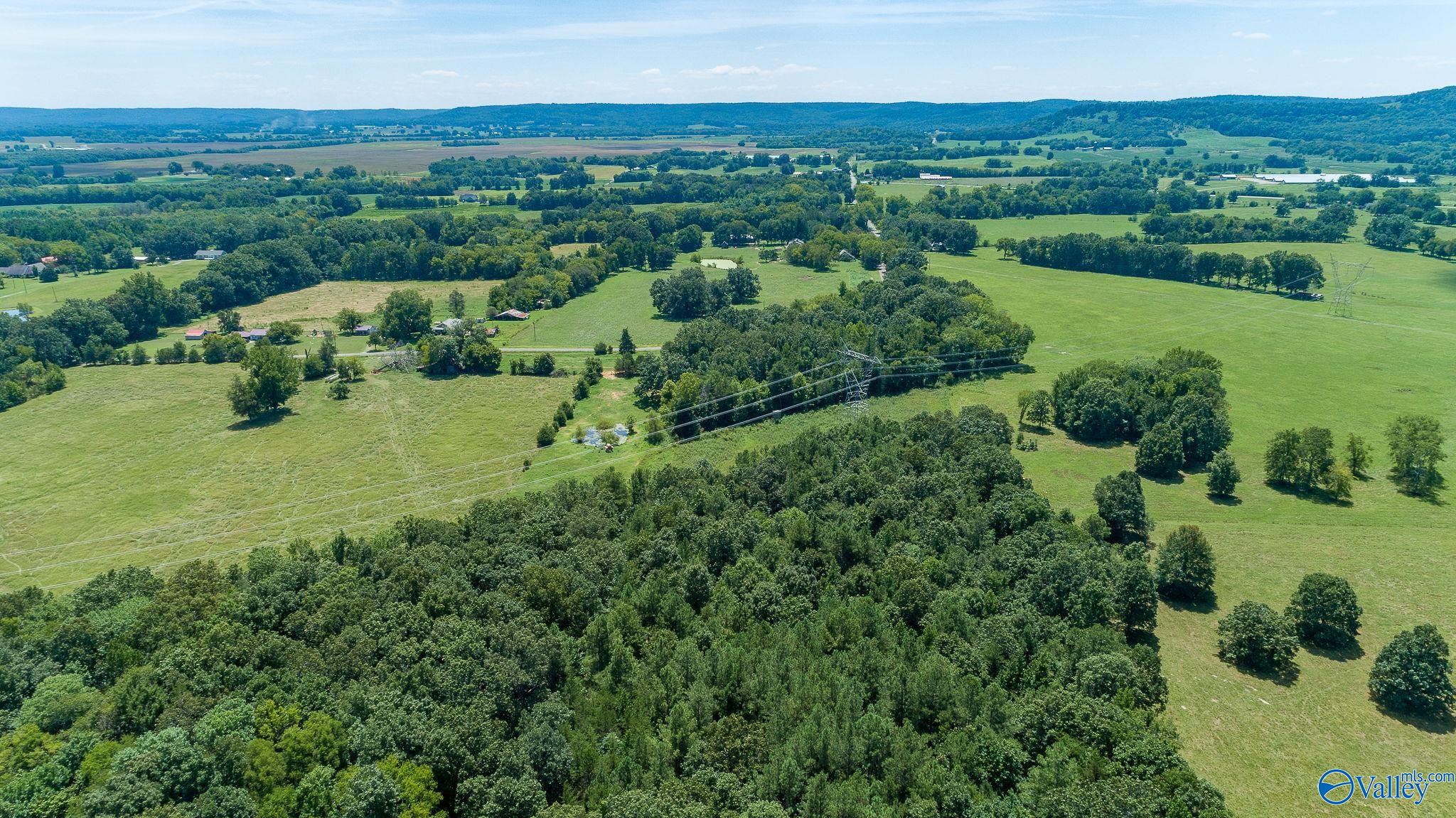 98.20 Acres County Road 23, Mount Hope, Alabama image 8